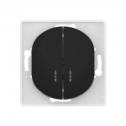 Выключатель скрытой установки CADUCEUS ALING EON, двухклавишный, с индикацией, 10АХ, 250В~, механизм (Артикул: E626)