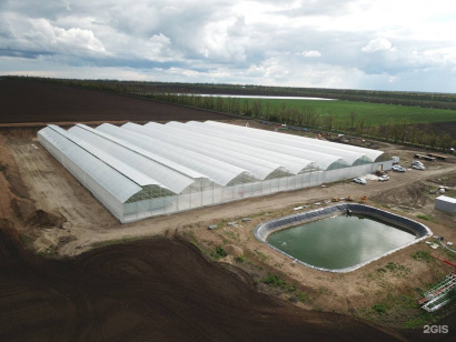 Фермерская теплица 480кв.м