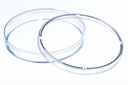 Чашка Петри