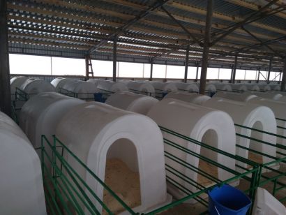 Домики для телят