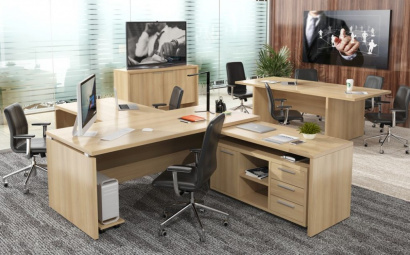 Кабинеты руководителя эконом-класса