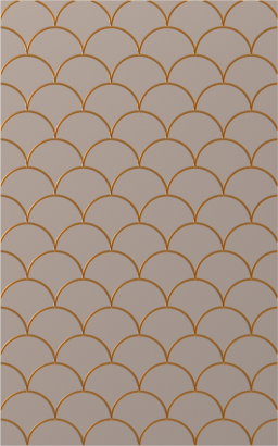 Мебельный фасад MIRA-17