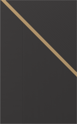 Мебельный фасад  MIRA-20