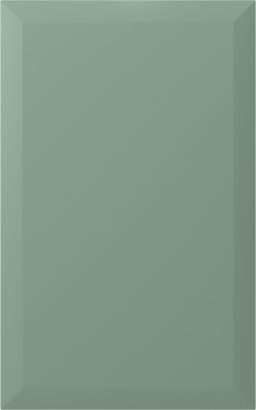 Мебельный фасад MIRA-9