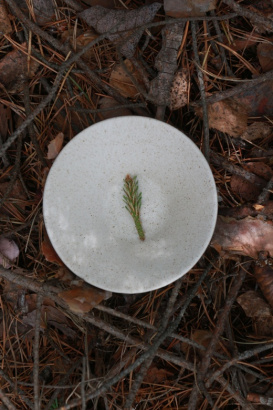 Крафтовая посуда