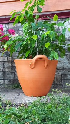 Цветочный горшок