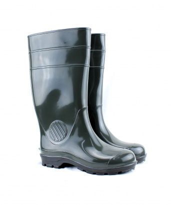 Сапоги мужские Орел