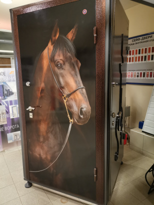 Сейф дверь с фотопечатью