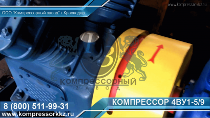 Компрессор 4ВУ1-5/9