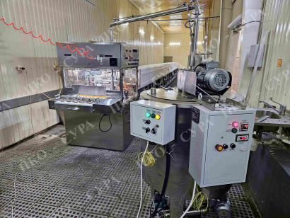 Глазировочная линия СУРА, глазировочная машина СУРА на жгутах