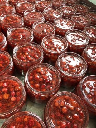 Земляника лесная - дикорастущая в сахаре 250 гр