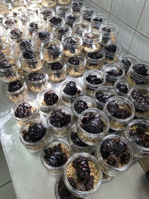 Микс из кедровой и сосновых шишек с кедровыми орешками в сосновом сиропе 250 гр 