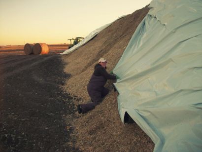 Силосная чёрно-белая и чёрная плёнка для траншей и ям силоса/сенажа
