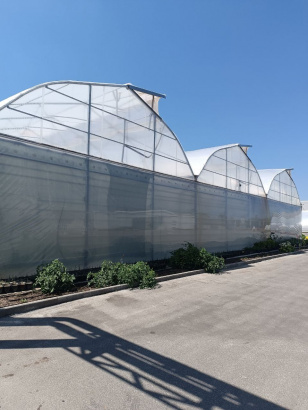 Фермерская теплица 480кв.м
