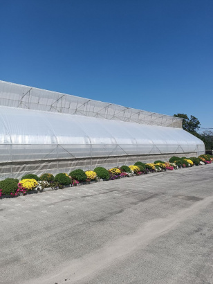 Фермерская теплица 480кв.м