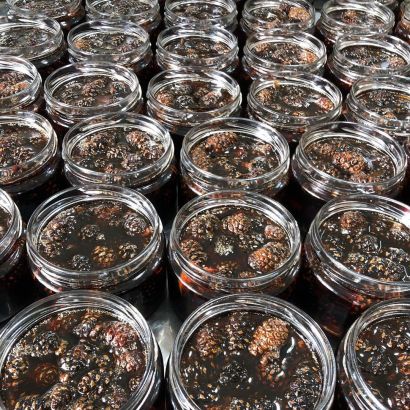 Варенье из молодых сосновых шишек 250 гр 