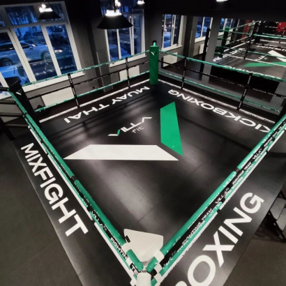 Ринг боксерский TARGEX на помосте высотой 0,5 м