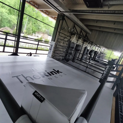 Ринг боксерский TARGEX на помосте высотой 0,5 м