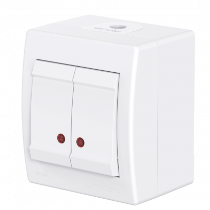 Выключатель двухклавишный CADUCEUS ALING POWER для открытой проводки, с индикацией, 10АХ, 250В~ (Артикул: 2521)