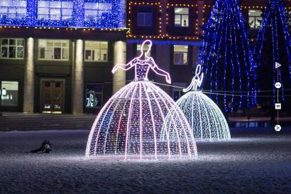 Фотозона СК 519