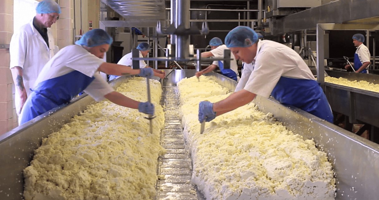 Технология производства творога