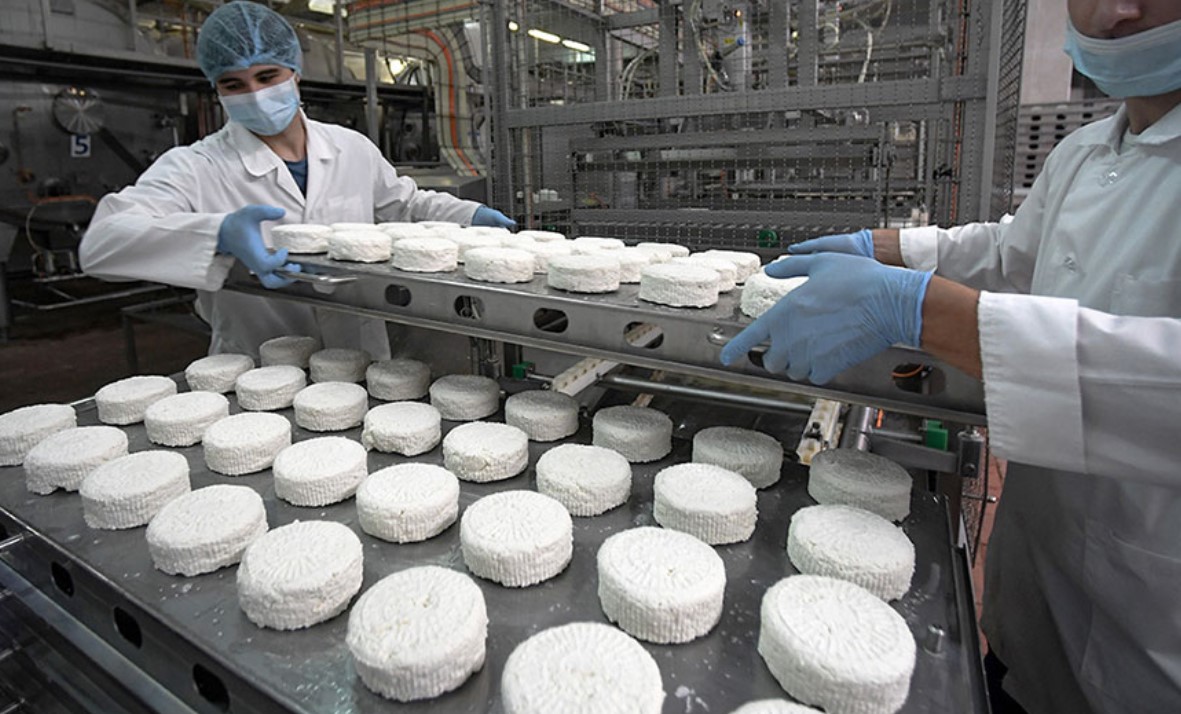 Технология производства творога