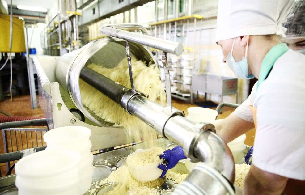 Технология производства творога